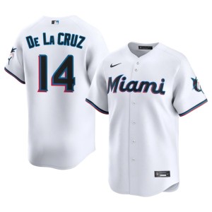 Stitched Marlins Bryan De La Cruz Men White #14 Jersey 147180-634
