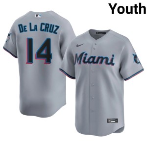 2026-27 Gray #14 Miami Bryan De La Cruz Youth Jerseys 213703-910