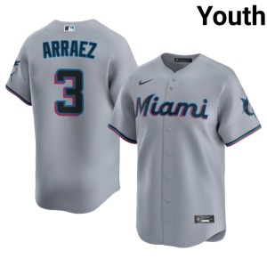 Embroidery #3 Youth Gray MIA Luis Arraez Jerseys 355382-842