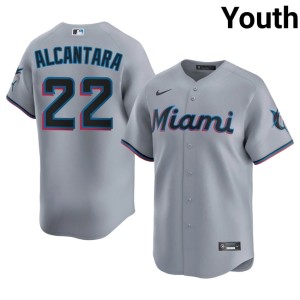 Official #22 Miami Marlins Sandy Alcantara Gray Youth Jerseys 168671-863